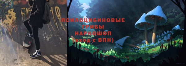 ГАЛЛЮЦИНОГЕННЫЕ ГРИБЫ Армянск