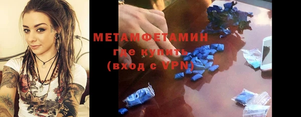 шишки Аркадак