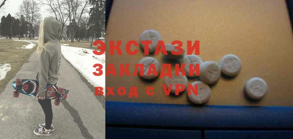 гашик Алексин