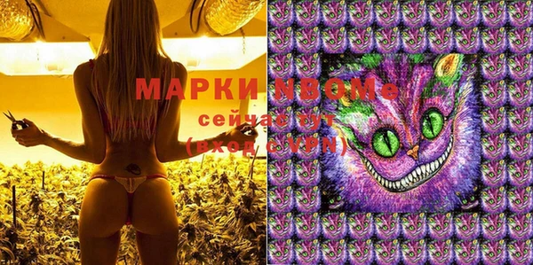 шишки Аркадак