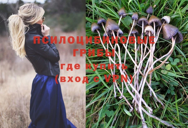 шишки Аркадак