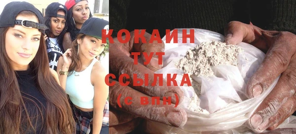 шишки Аркадак