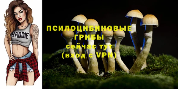 ГАЛЛЮЦИНОГЕННЫЕ ГРИБЫ Армянск