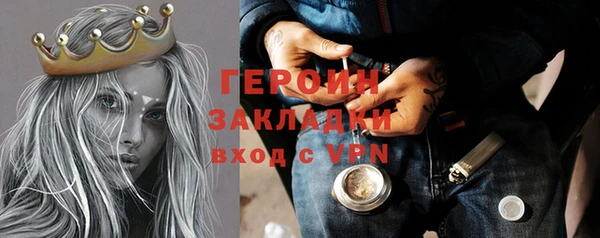 гашик Алексин