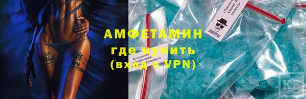 шишки Аркадак