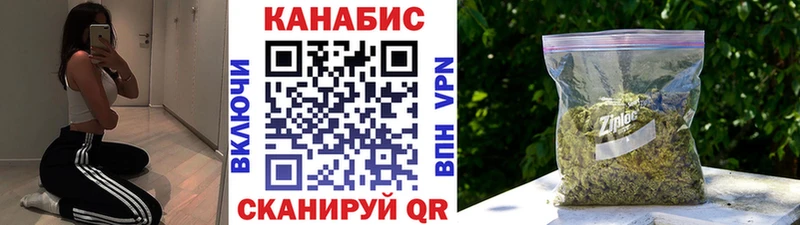 Каннабис OG Kush  Суворов 